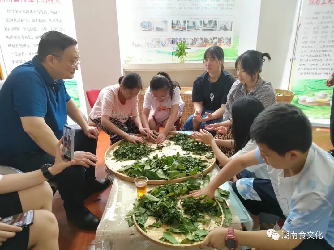 原載人民日?qǐng)?bào)“人民視點(diǎn)”茶葉是怎樣做出來的？湖南大、中、小學(xué)生體驗(yàn)湖南工夫紅茶制作